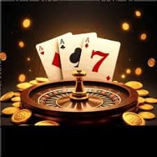 556 bet