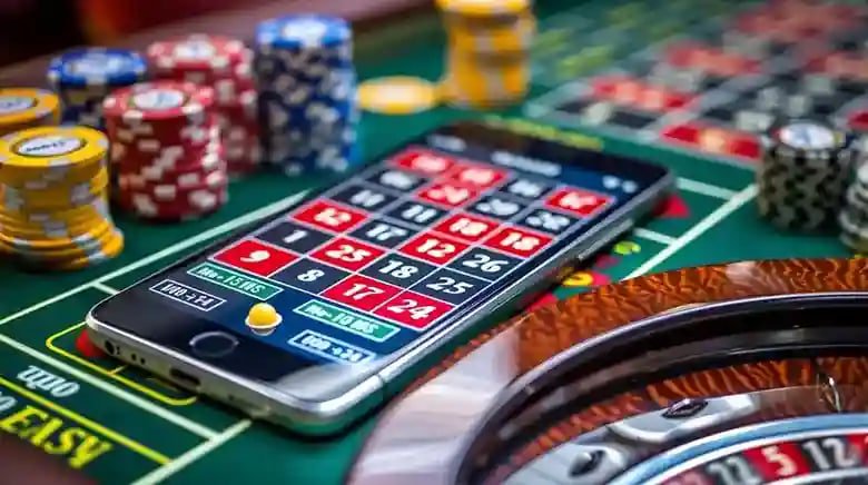 556 bet