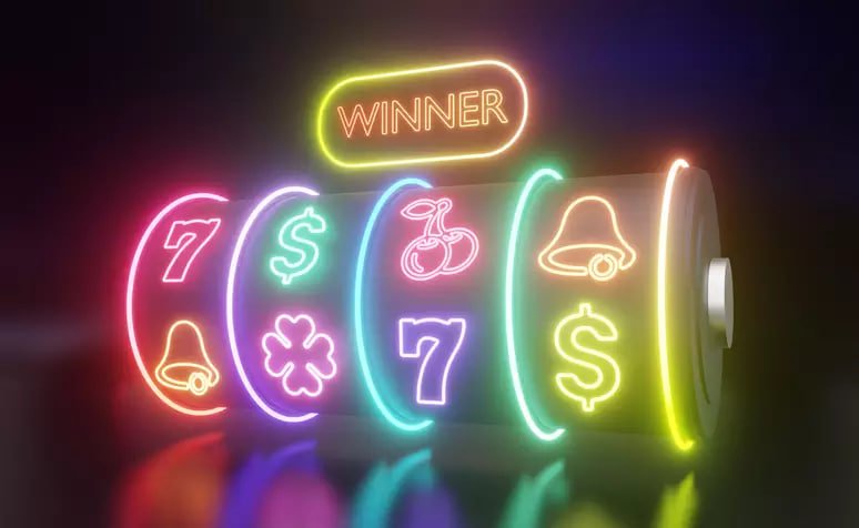 556 bet