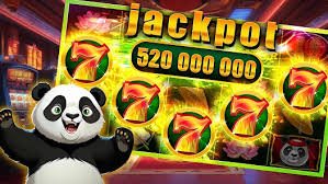 556 bet