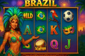 556 bet